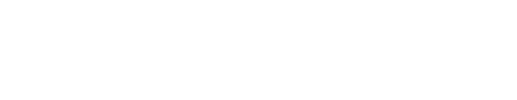ZANO inspire